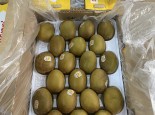 BIG SALE KIWI VÀNG NEW ZEALAND CHỈ  380.000/ THÙNG 3.5KG
