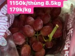 BIG SALE NHO ĐỎ MỸ CHỈ TỪ 149.000/ KG
