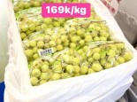 BIG SALE NHO XANH MỸ CHỈ CÒN 169K/KG