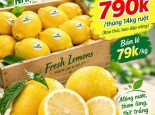CHANH VÀNG NHẬP KHẨU CHỈ 790K/THÙNG 14KG RUỘT (BAO THỐI, BAO DẬP NẶNG )