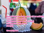 DƯA LƯỚI ĐẾ MẬT AN TOÀN GREENSPACE