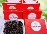 Hộp Cherry premium  Mỹ 2kg tươi ngon giòn ngọt chuẩn USDA
