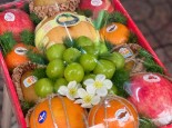 Hộp quà trái cây nhập khẩu  chào mừng ngày Phụ Nữ Việt Nam 20/10.
