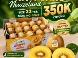 Kiwi vàng New Zealand 350k/thùng 22 trái 3.5kg ruột