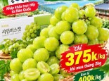 Mẫu Đơn Hàn Quốc chỉ 375k/kg khi mua thùng 2kg.