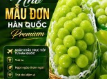 Mẫu Đơn Hàn Quốc chỉ 575k/kg khi mua thùng 2kg.
