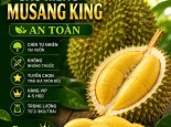 SẦU RIÊNG MUSANG KING AN TOÀN GREENSPACE
