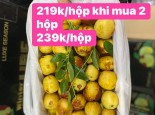 Táo tàu hộp VIP 1.5KG chỉ 219k/ hộp