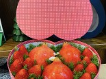 Top 5 Cửa hàng trái cây sạch và an toàn tại Quận 5, TP. HCM