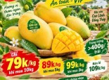 XOÀI CÁT HÒA LỘC CAO LÃNH AN TOÀN VIP GREENSPACE