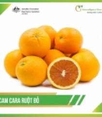 CAM CARA ÚC PREMIUM