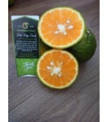 CAM SÀNH CHUẨN GLOBAL GAP