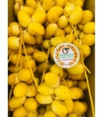CHÀ LÀ TƯƠI THÁI