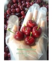 CHERRY ĐỎ CANADA