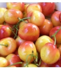 Cherry vàng New Zealand