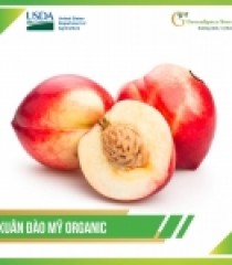 ĐÀO TRẮNG MỸ
