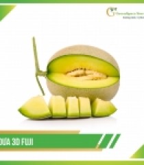 DƯA LƯỚI 3D FUJI ORGANIC NHẬT