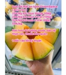 DƯA LƯỚI ĐẾ MẬT AN TOÀN GREENSPACE 