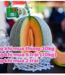 DƯA LƯỚI ĐẾ MẬT AN TOÀN GREENSPACE 