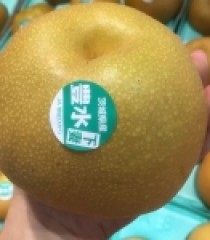 LÊ NHẬT BẢN