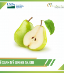 LÊ XANH MỸ (GREEN ANJOU PEAR)