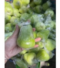 MẬN TAM HOA SẠCH ĐỒNG THÁP