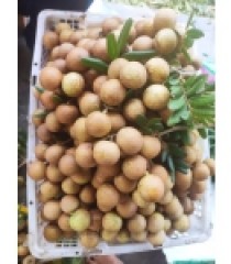 NHÃN TIÊU DA BÒ SẠCH BẾN TRE GSS