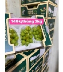 NHO MẪU ĐƠN