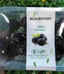 PHÚC BỒN TỬ ĐEN ORGANIC