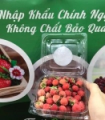 PHÚC BỒN TỬ ĐỎ SẠCH