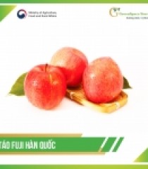 TÁO FUJI HÀN