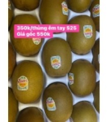 THÙNG KIWI VÀNG NEW ZEALAND ÊM TAY 25 TRÁI 