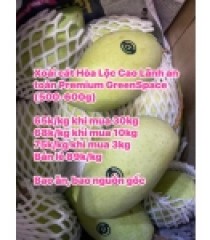 XOÀI CÁT HÒA LỘC CAO LÃNH PREMIUM AN TOÀN GREENSPACE 