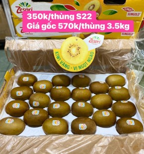 BIG SALE KIWI VÀNG NEW ZEALAND CHỈ  350.000/ THÙNG 3.5KG