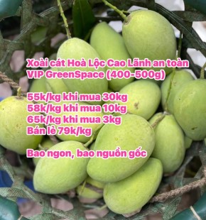 Big sale Xoài Cát Hòa Lộc an toàn VIP GreenSpace chỉ 55k/kg khi mua thùng 30kg. 58k/kg khi mua 10kg , 65k/kg khi mua 3kg, bán lẻ 79k/kg