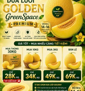 DƯA LƯỚI GOLDEN GREENSPACE PREMIUM CHỈ TỪ 28K/KG