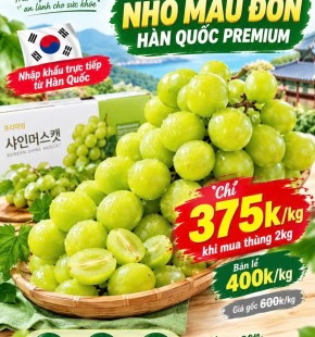 Mẫu Đơn Hàn Quốc chỉ 375k/kg khi mua thùng 2kg.