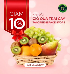 Top 9 địa chỉ bán trái cây nhập khẩu uy tín nhất TP. Hồ Chí Minh