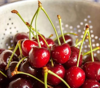 Cherry Đỏ Mỹ (Carol & Royal)