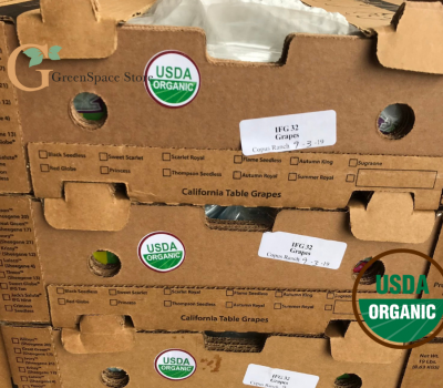 Nho Xanh Phù Thủy Organic