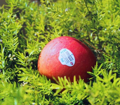 TÁO FUJI MỸ-  HỘP