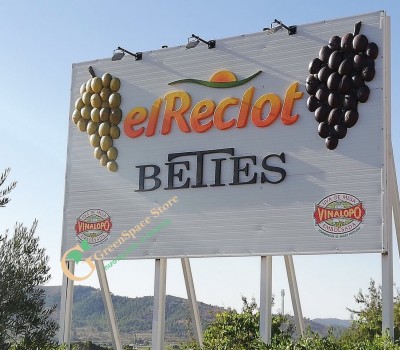 NHO RED GLOBE TÂY BAN NHA