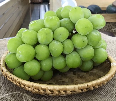 NHO SHINE MUSCAT HÀN (NHO MẪU ĐƠN)