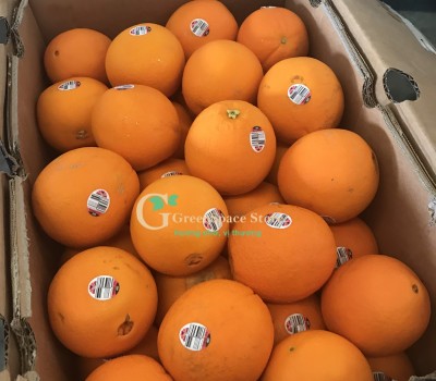 CAM CARA ÚC
