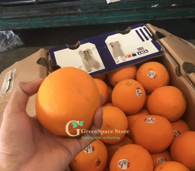 CAM CARA ÚC