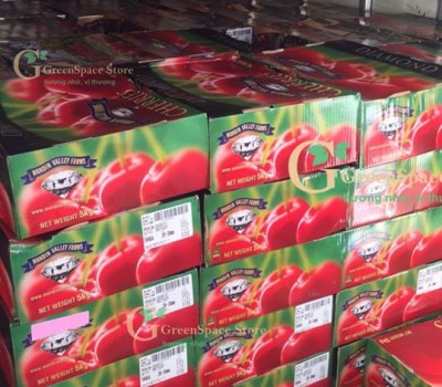 CHERRY ĐỎ SWEETHEARTS  ÚC