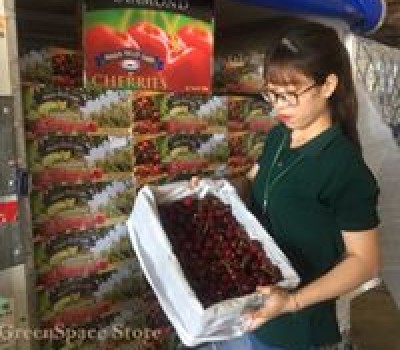 CHERRY ĐỎ SKEENA