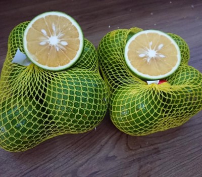 CAM MẬT CHUẨN GLOBAL GAP