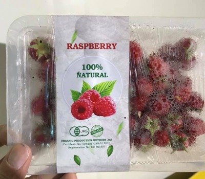 PHÚC BỒN TỬ ĐỎ ORGANIC