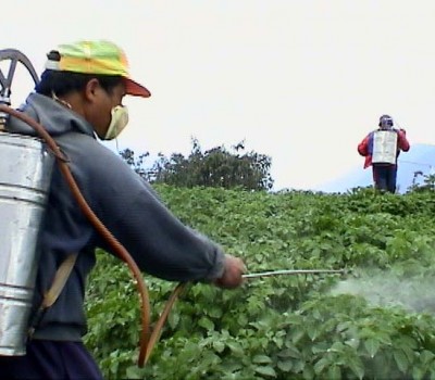 THUỐC TRỪ SÂU: MỐI NGUY HIỂM CHO SỨC KHỎE 